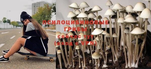 ешки Елизово