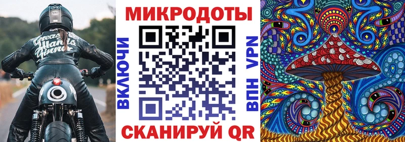 Купить Красный Кут Псилоцибиновые грибы Magic Shrooms